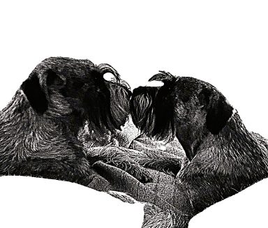 Amazing Buddies